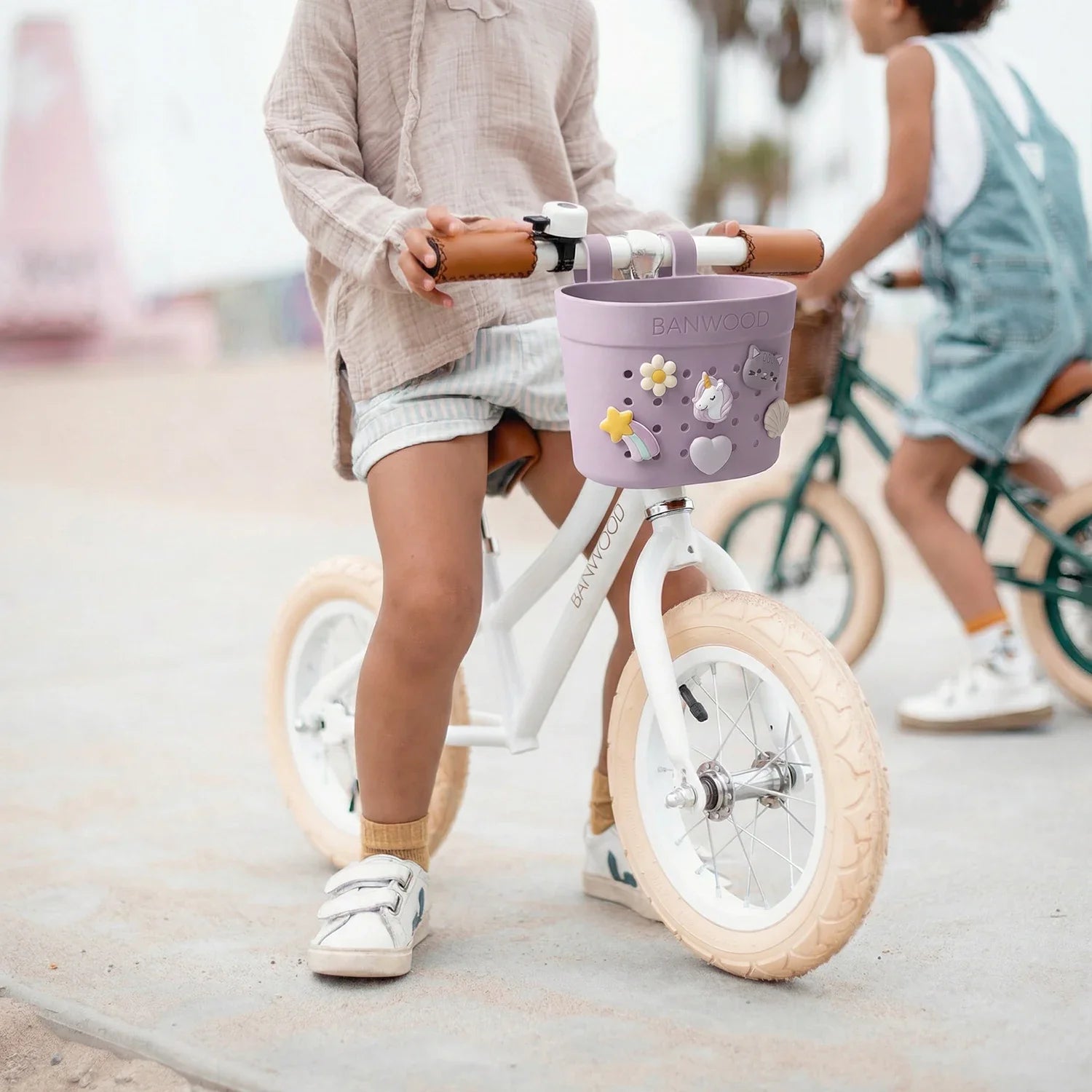 Pin & Ride Basket Banwood - Lavender
