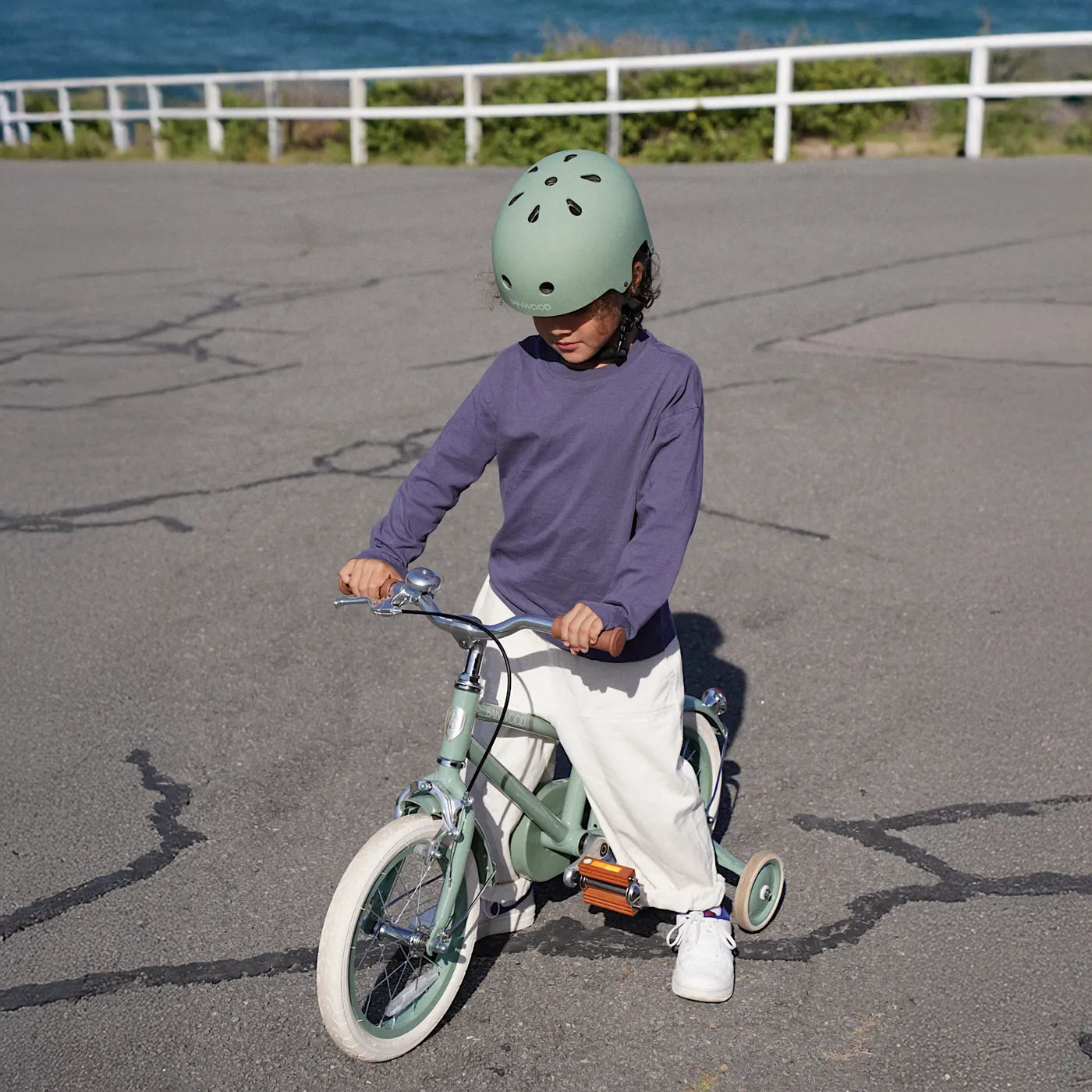 BANWOOD 14" CLASSIC BIKE VINTAGE - FOREST