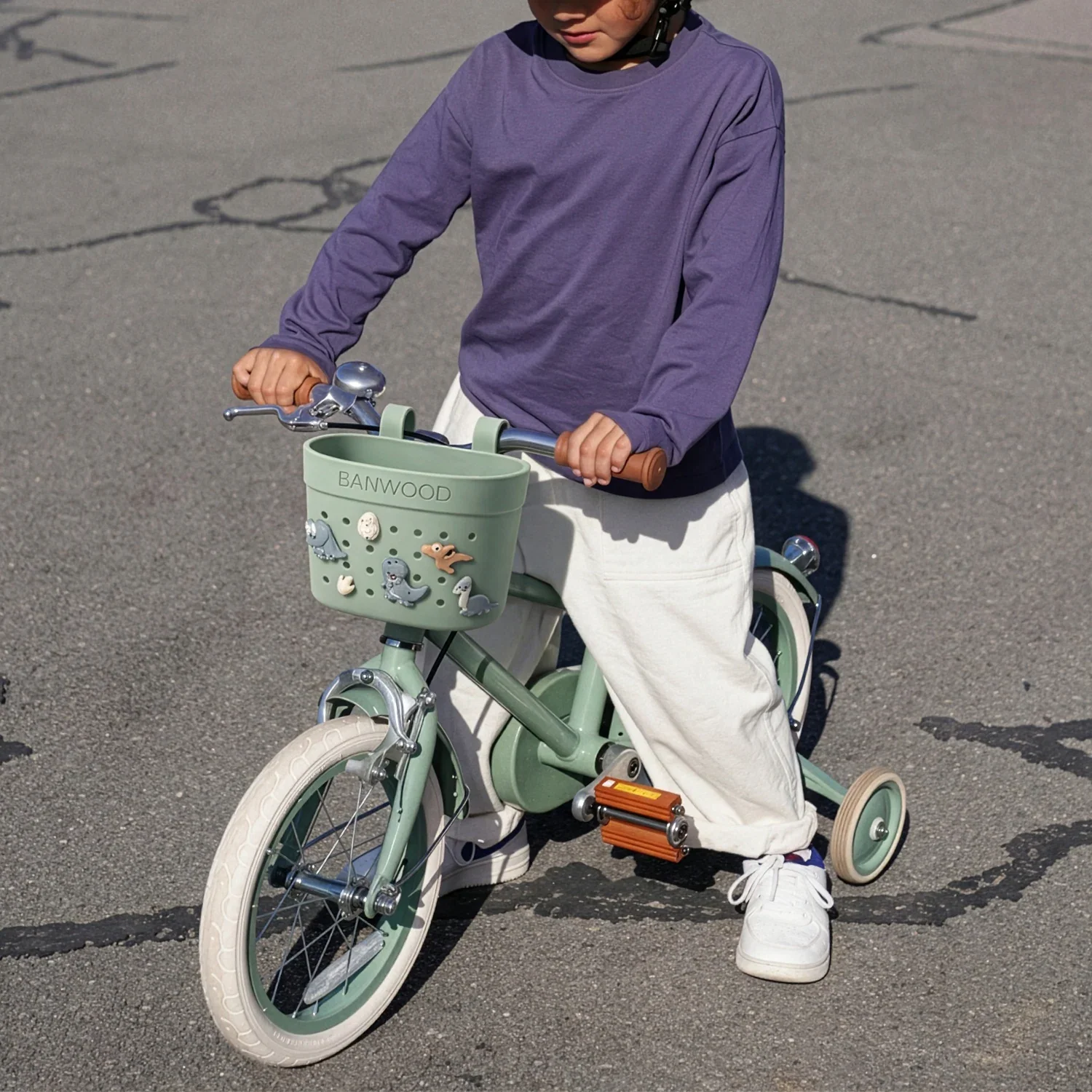 Banwood Basket Pins - Dinosaurs