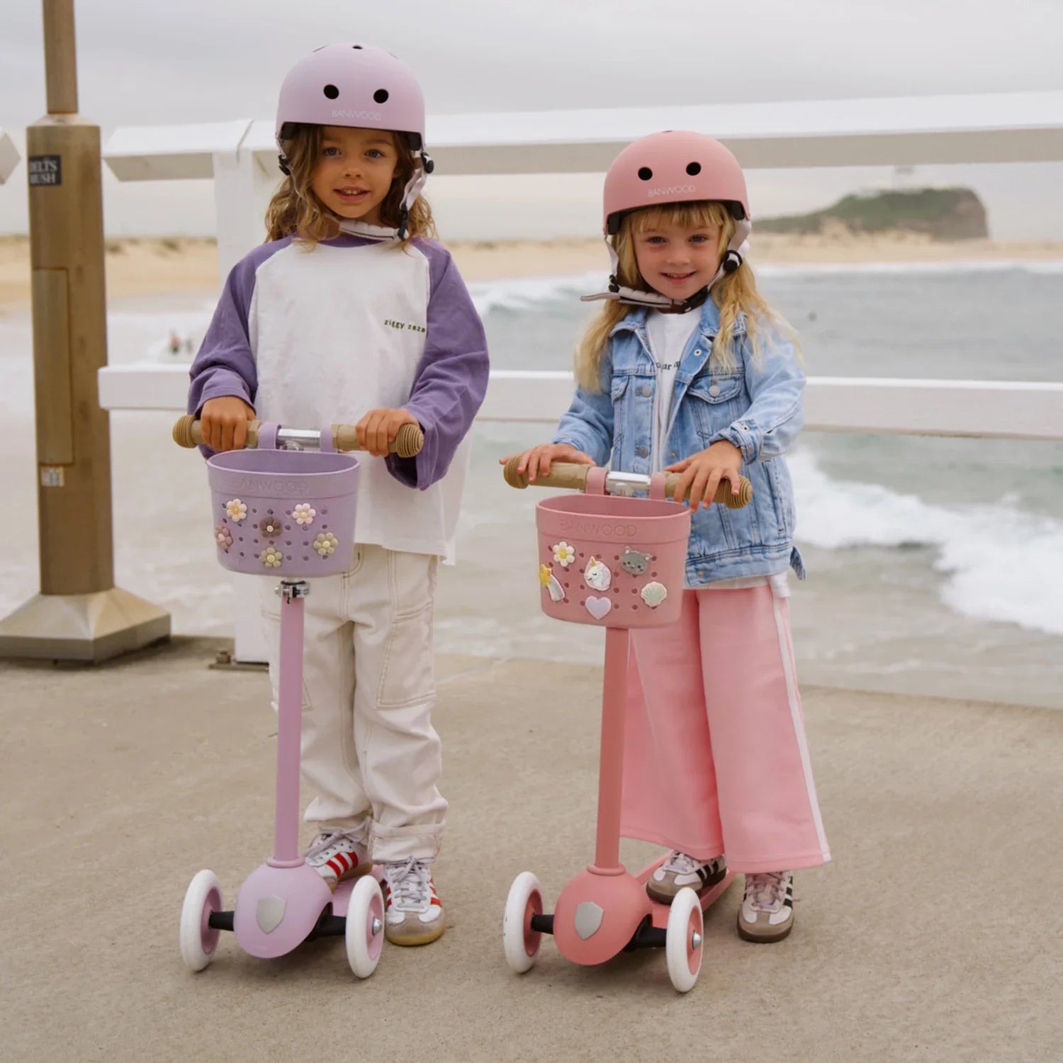 Pin & Ride Basket Banwood - Lavender